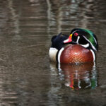 18161期开奖结果正式公布,最新中奖号码全面揭晓 36j2t