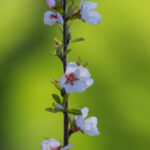 18142期足彩开奖结果揭晓:大奖花落谁家引关注 63wgek