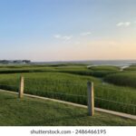 18282期开奖结果震撼揭晓,大奖花落谁家? 8qfezsaet