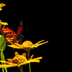 18306期体彩开奖结果最新公布完整版 91g6f1hk17