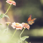 18152期开奖时间具体是几点? fk3ts9rwh0