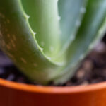 18154期开奖结果正式公布,大奖花落谁家引关注 iyzx3ci