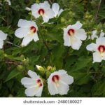 18341期彩票开奖结果最新公布,大奖花落谁家? t5750g5j